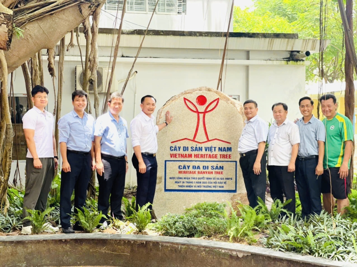 GẮN BIỂN “CÂY DI SẢN VIỆT NAM” CHO CÂY ĐA TRƯỜNG ĐẠI HỌC THỂ DỤC THỂ THAO TP. HỒ CHÍ MINH