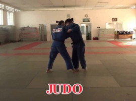 Môn Vật-Judo (912).